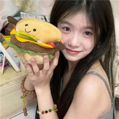 大宋有奇案